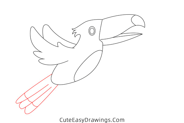 how to draw a toucan - www.cuteeasydrawings.com