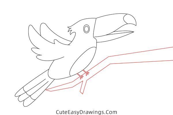 how to draw a toucan - www.cuteeasydrawings.com