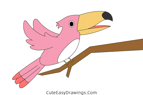 how to draw a toucan - www.cuteeasydrawings.com