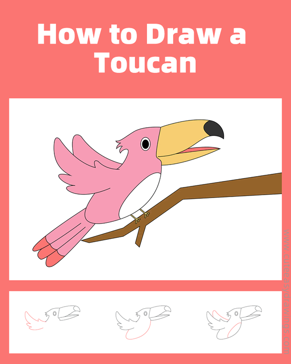how to draw a toucan - www.cuteeasydrawings.com