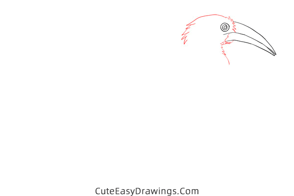 how to draw a hornbill - www.cuteeasydrawings.com