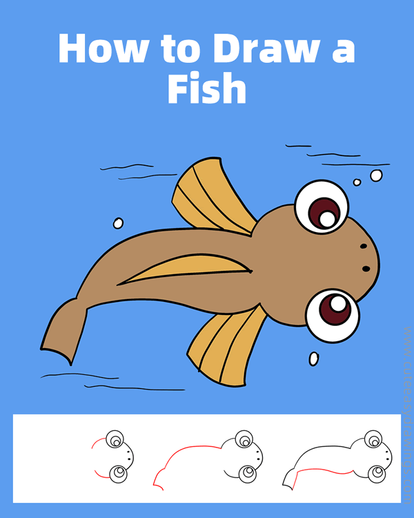 how to draw a fish easy - www.cuteeasydrawings.com