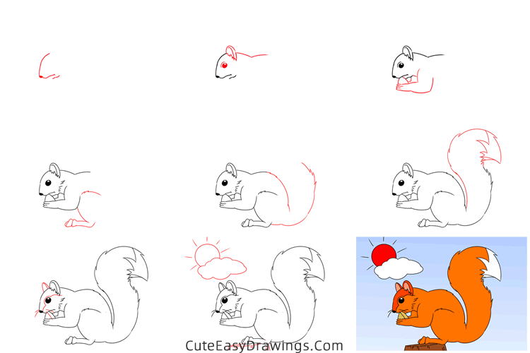 how to draw a squirrel eating - www.cuteeasydrawings.com
