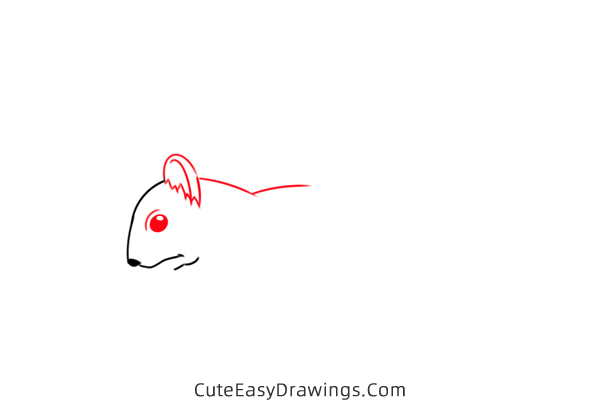 how to draw a squirrel eating - www.cuteeasydrawings.com