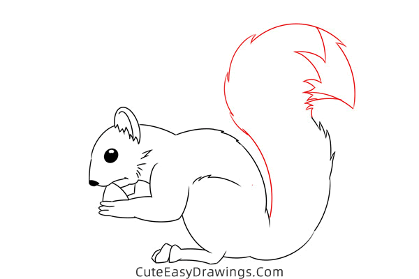how to draw a squirrel eating - www.cuteeasydrawings.com