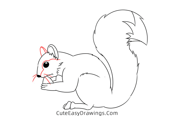 how to draw a squirrel eating - www.cuteeasydrawings.com