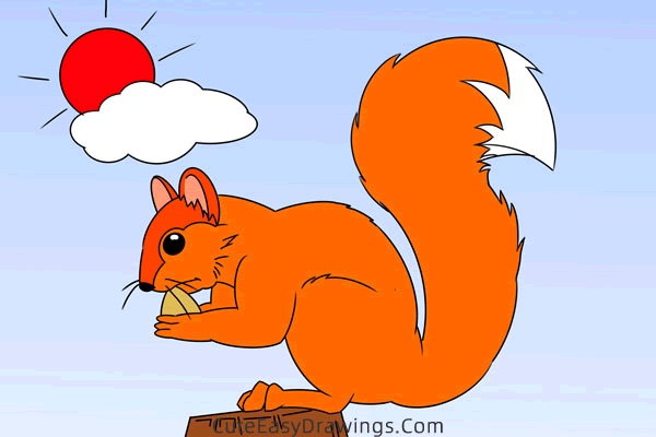 how to draw a squirrel eating - www.cuteeasydrawings.com