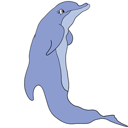How to Draw a Dolphin Easy Step by Step