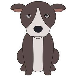 How to Draw a Sitting Dog Step by Step