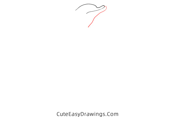 how to draw a dolphin easy - www.cuteeasydrawings.com