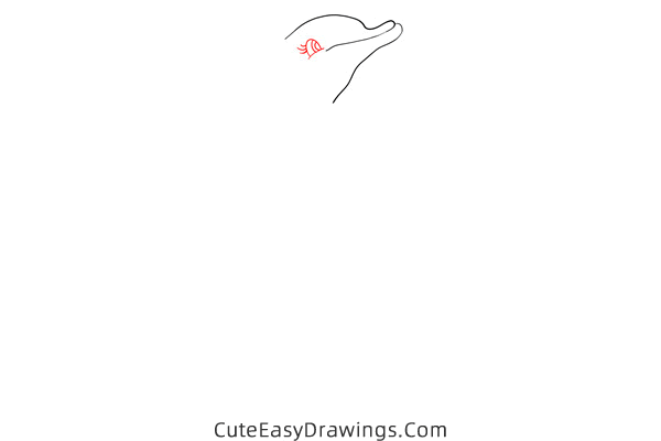 how to draw a dolphin easy - www.cuteeasydrawings.com