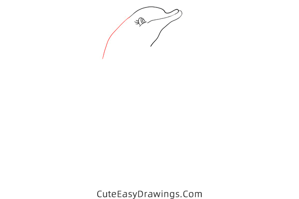 how to draw a dolphin easy - www.cuteeasydrawings.com