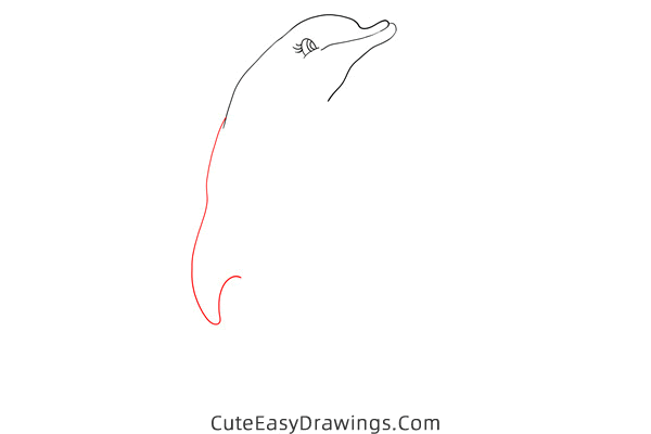 how to draw a dolphin easy - www.cuteeasydrawings.com