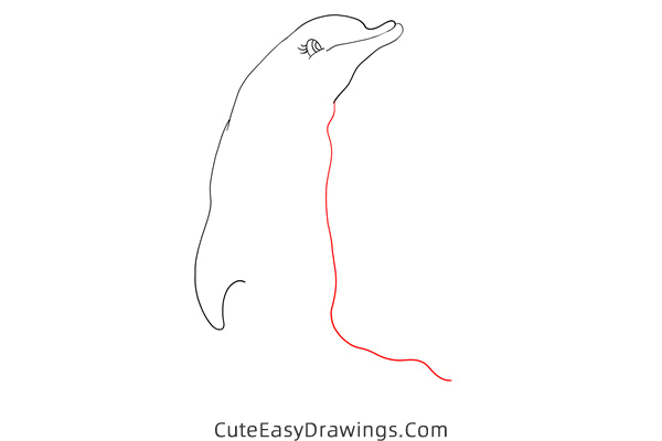 how to draw a dolphin easy - www.cuteeasydrawings.com