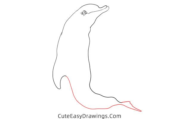 how to draw a dolphin easy - www.cuteeasydrawings.com