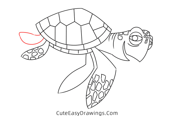 how to draw crush from finding nemo - www.cuteeasydrawings.com