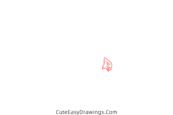 how to draw a falcon flying - www.cuteeasydrawings.com