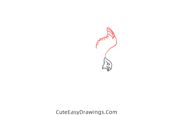 how to draw a falcon flying - www.cuteeasydrawings.com