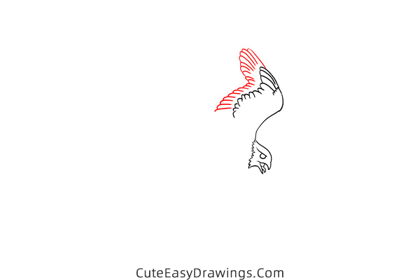 how to draw a falcon flying - www.cuteeasydrawings.com