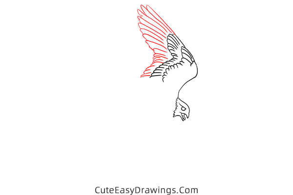 how to draw a falcon flying - www.cuteeasydrawings.com