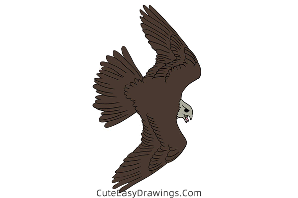 how to draw a falcon flying - www.cuteeasydrawings.com