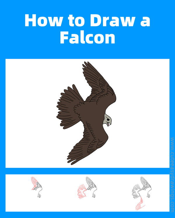 how to draw a falcon flying - www.cuteeasydrawings.com