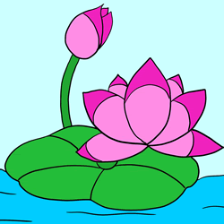 How to Draw a Lotus Flower Step by Step