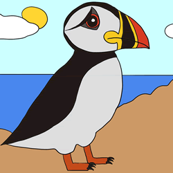 How to Draw a Puffin Step by Step