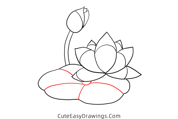 how to draw a lotus flower - www.cuteeasydrawings.com