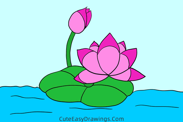 how to draw a lotus flower - www.cuteeasydrawings.com