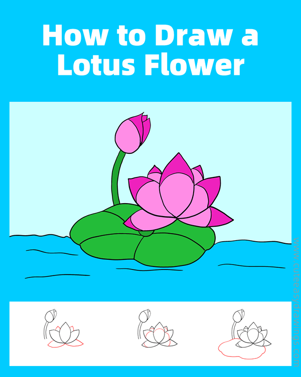how to draw a lotus flower - www.cuteeasydrawings.com