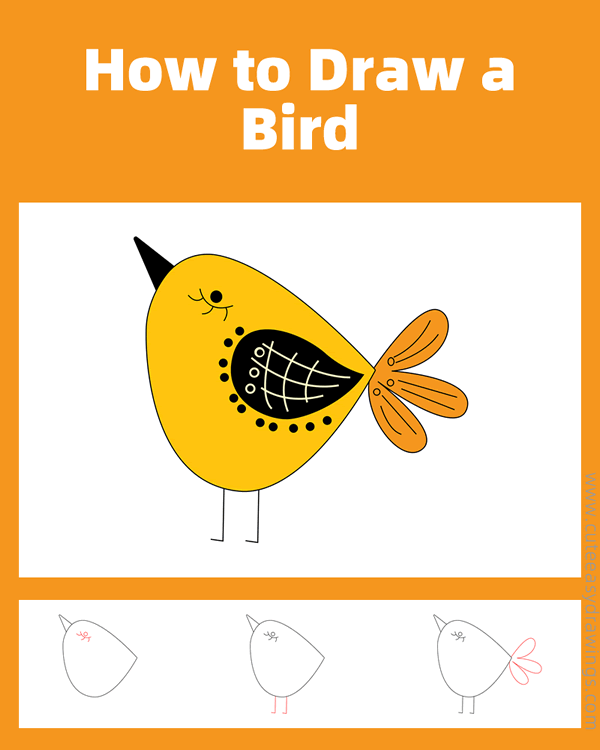 how to draw a bird easy - www.cuteeasydrawings.com