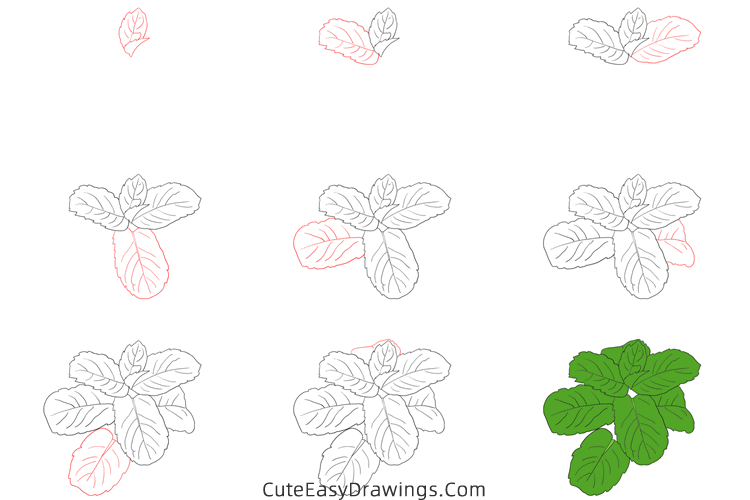 how to draw mint - www.cuteeasydrawings.com