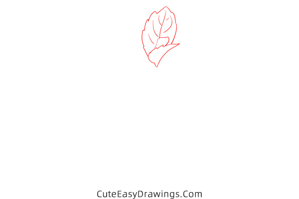 how to draw mint - www.cuteeasydrawings.com