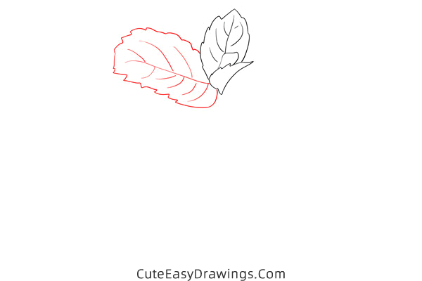 how to draw mint - www.cuteeasydrawings.com