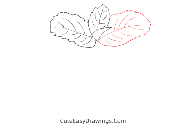 how to draw mint - www.cuteeasydrawings.com