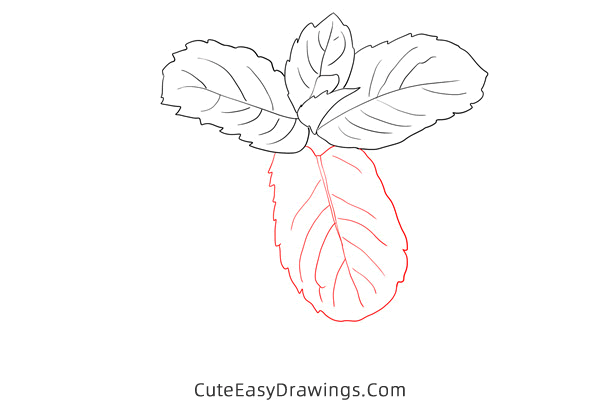 how to draw mint - www.cuteeasydrawings.com