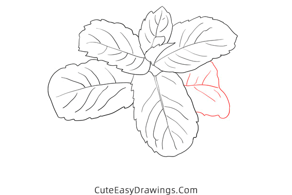how to draw mint - www.cuteeasydrawings.com