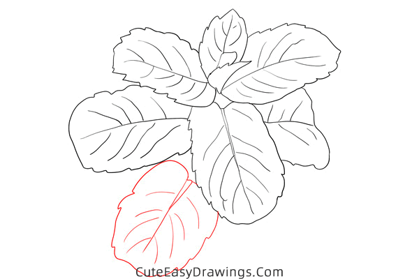 how to draw mint - www.cuteeasydrawings.com