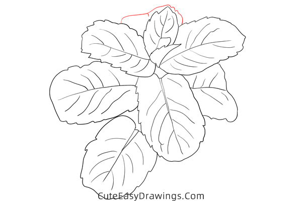 how to draw mint - www.cuteeasydrawings.com