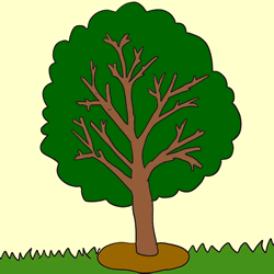 How to Draw a Summer Tree Step by Step