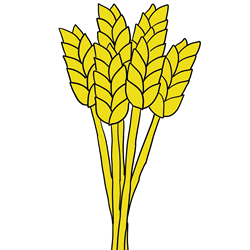 How to Draw Wheat Step by Step