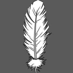 How to Draw a Feather Step by Step