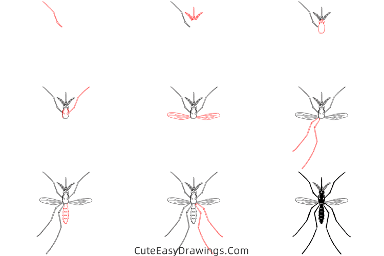 how to draw a realistic mosquito - www.cuteeasydrawings.com