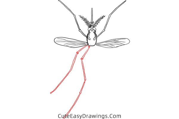how to draw a realistic mosquito - www.cuteeasydrawings.com
