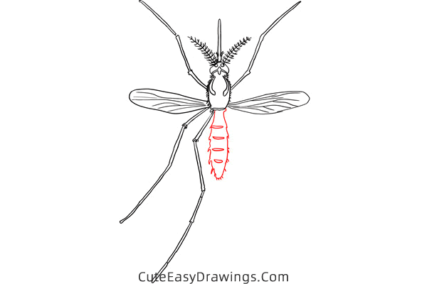 how to draw a realistic mosquito - www.cuteeasydrawings.com