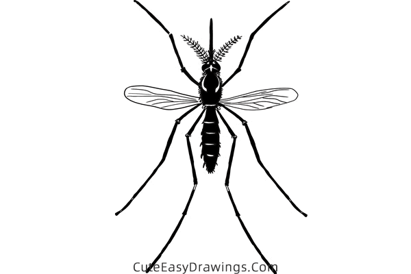 how to draw a realistic mosquito - www.cuteeasydrawings.com
