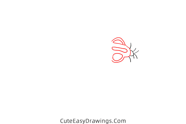 how to draw a house fly - www.cuteeasydrawings.com