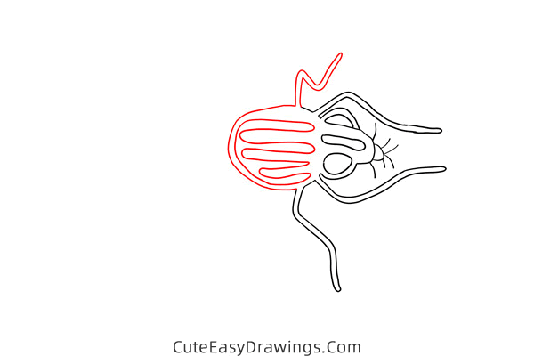 how to draw a house fly - www.cuteeasydrawings.com