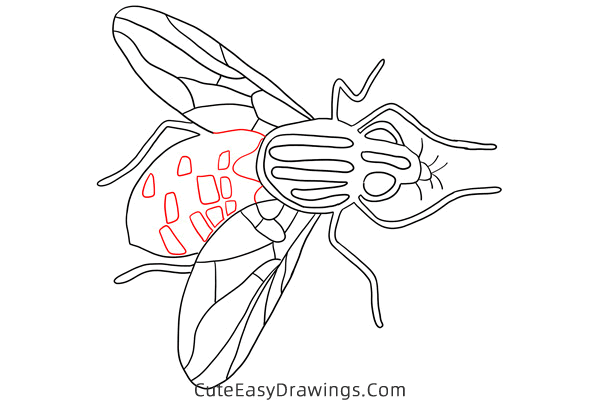 how to draw a house fly - www.cuteeasydrawings.com